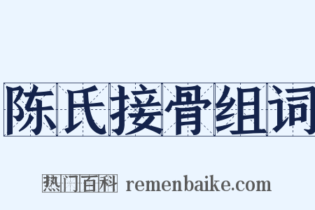 陈氏接骨组词是什么意思的图片